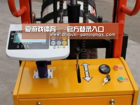 爱游戏体育案例展示三