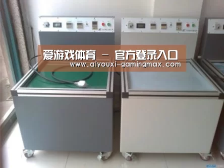爱游戏体育案例展示二